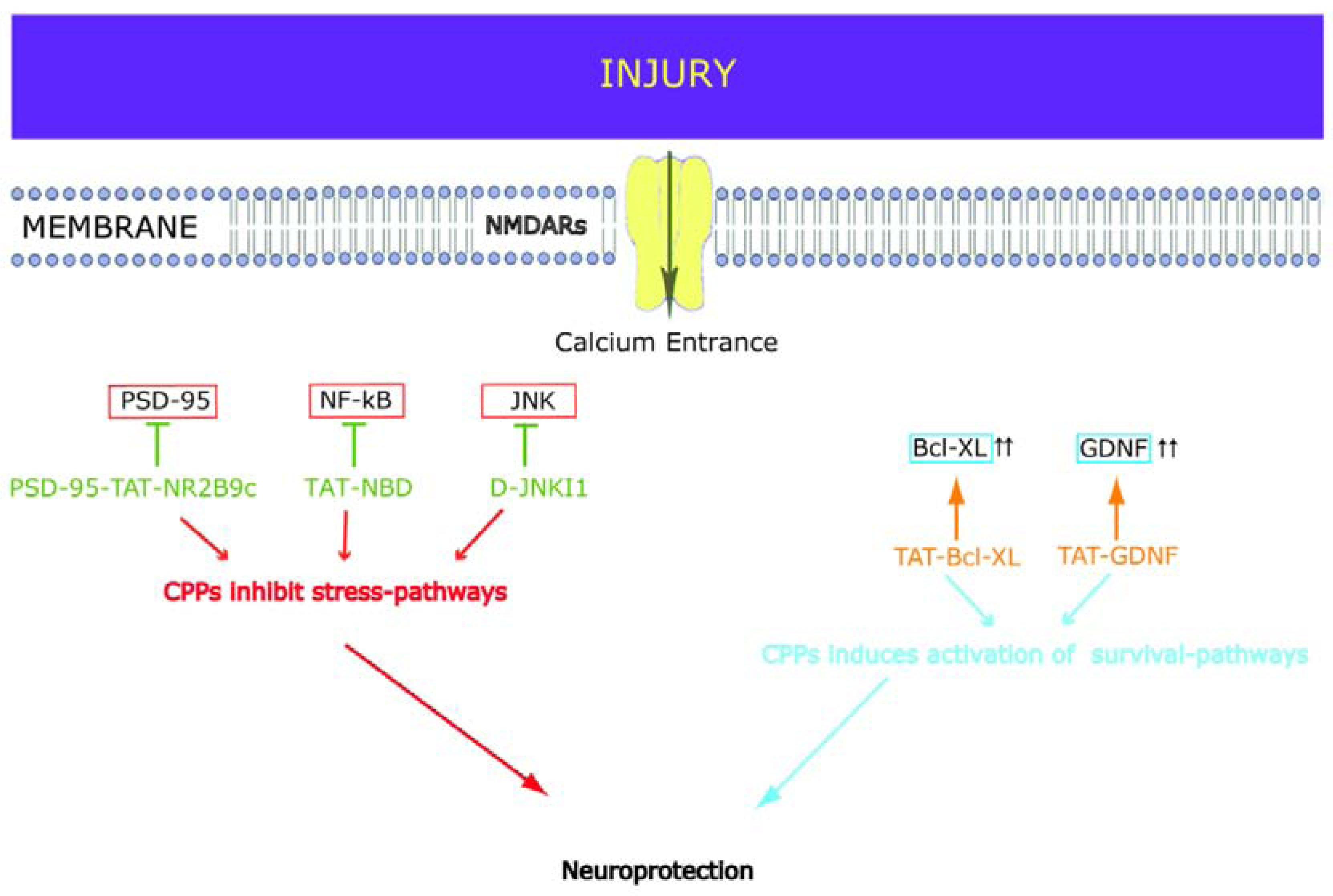 Pharmaceuticals 03 00379 g002