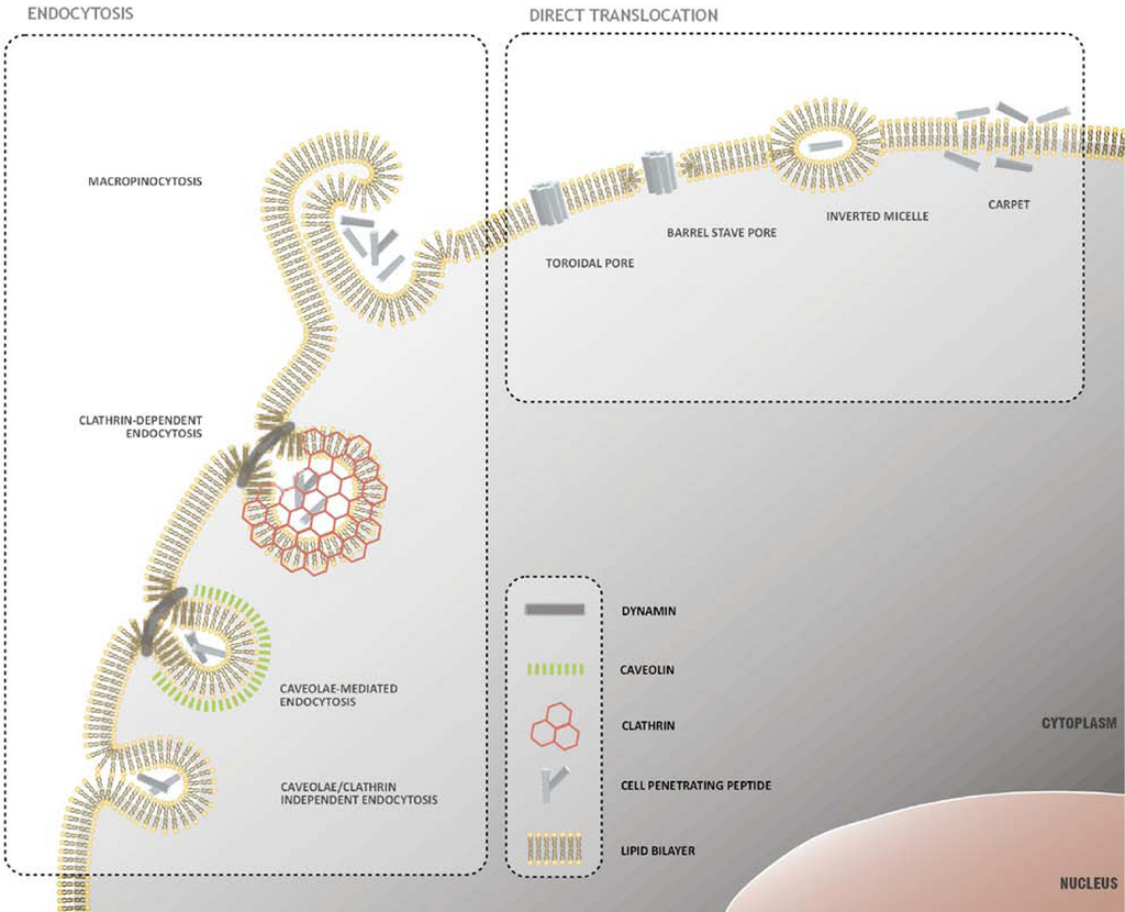 Pharmaceuticals 03 00961 g001 1024