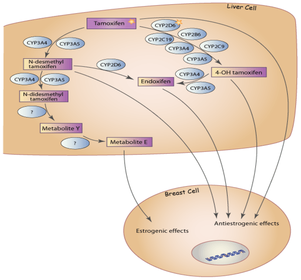 Pharmaceuticals 03 01122 g001 1024