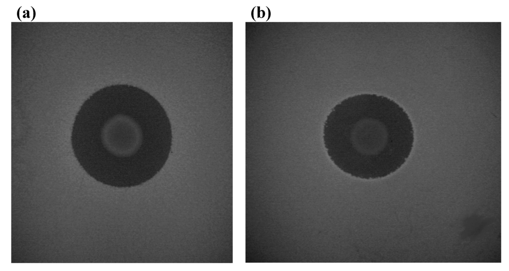 Pharmaceuticals 03 01139 g003 1024