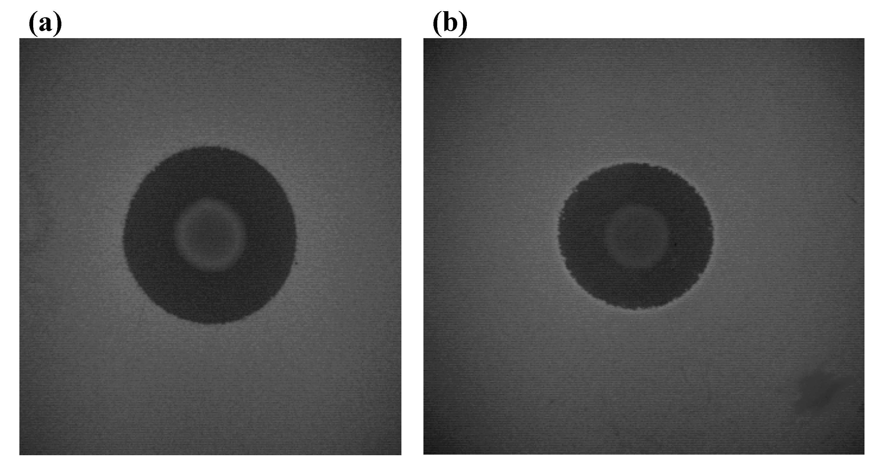 Pharmaceuticals 03 01139 g003
