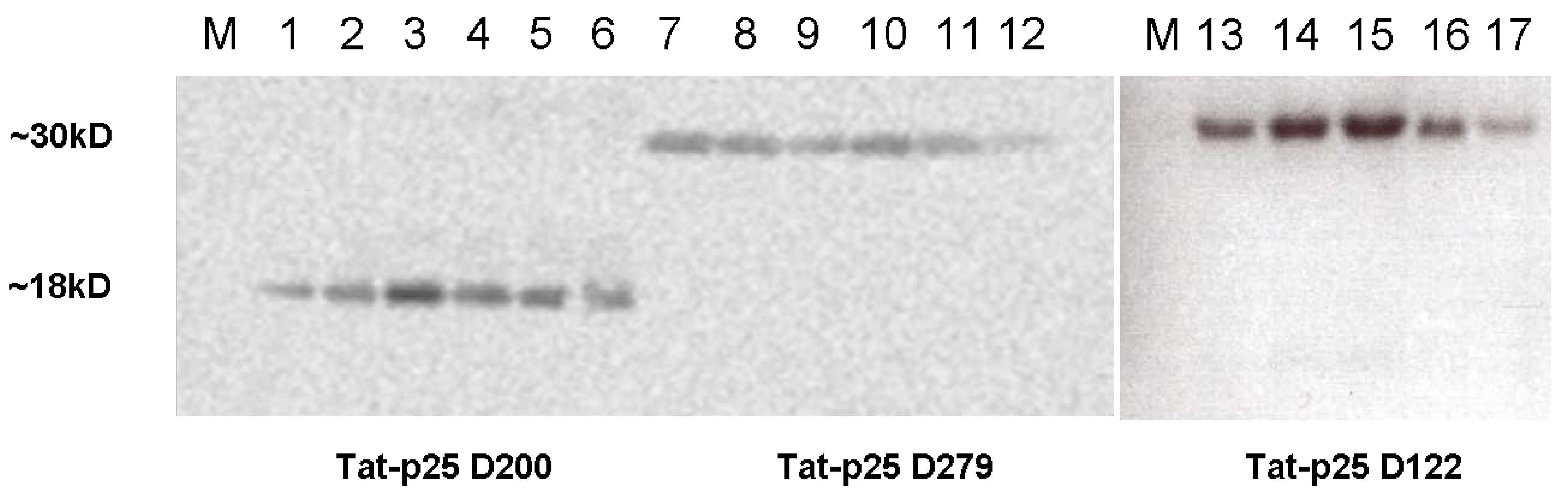 Pharmaceuticals 03 01232 g001