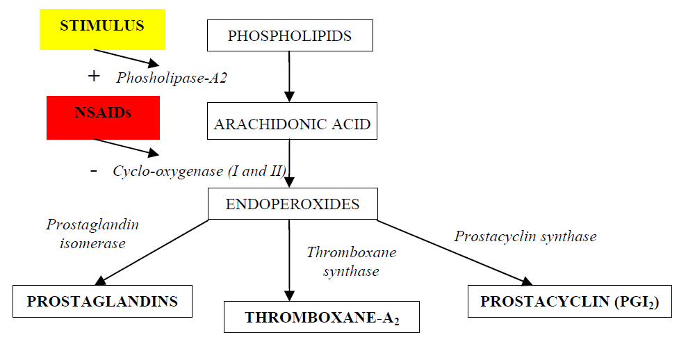 Pharmaceuticals 03 01304 g001 1024
