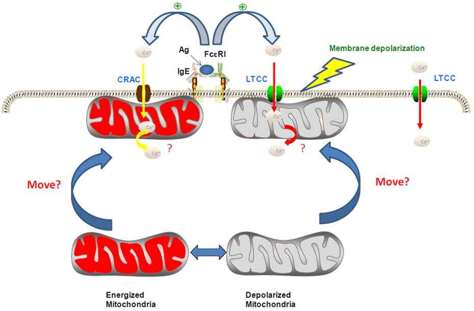 Pharmaceuticals 03 01594 g001 1024