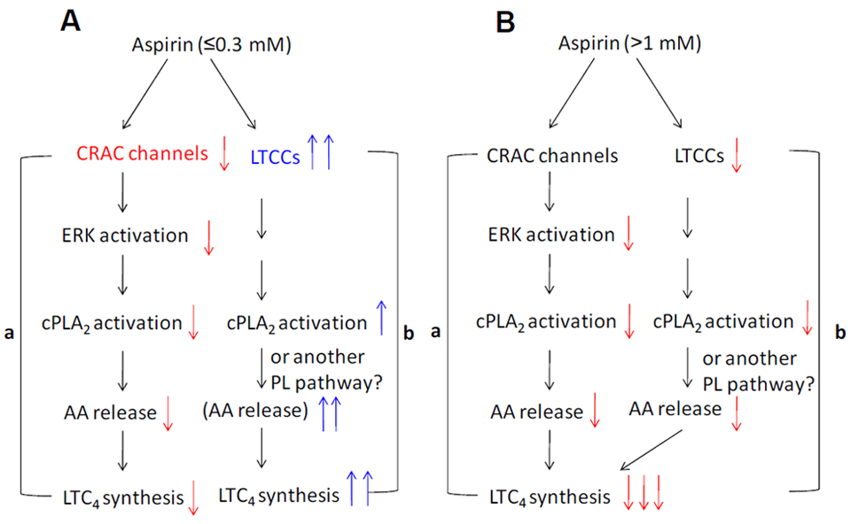 Pharmaceuticals 03 01594 g002