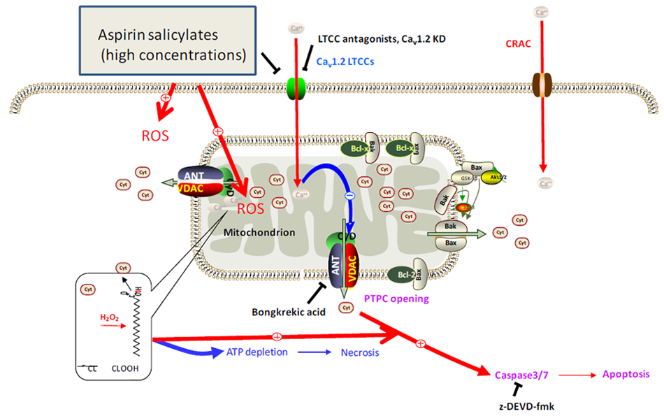 Pharmaceuticals 03 01594 g003 1024
