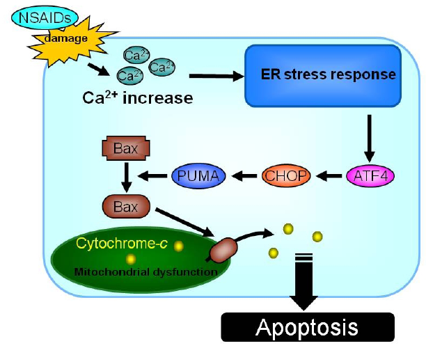 Pharmaceuticals 03 01614 g002