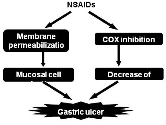 Pharmaceuticals 03 01614 g003 1024