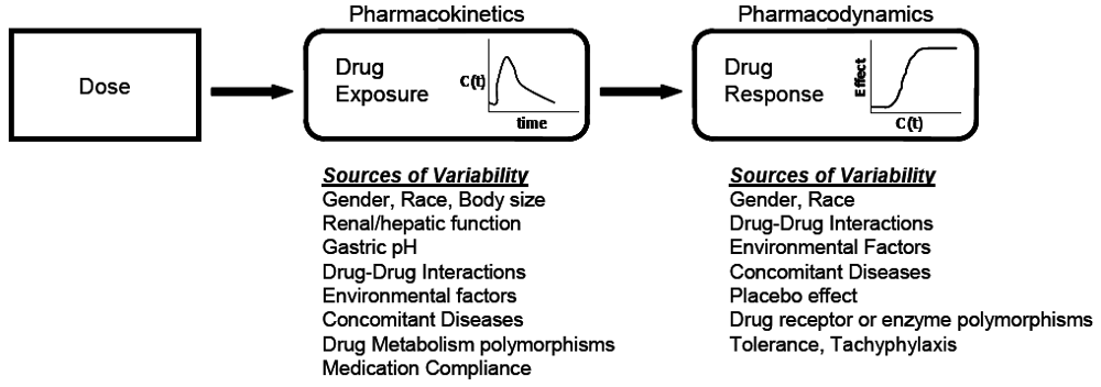 Pharmaceuticals 03 01637 g002