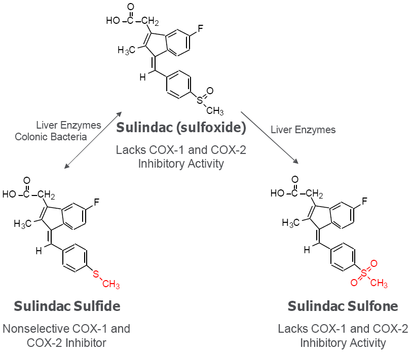 Pharmaceuticals 03 01652 g002 1024