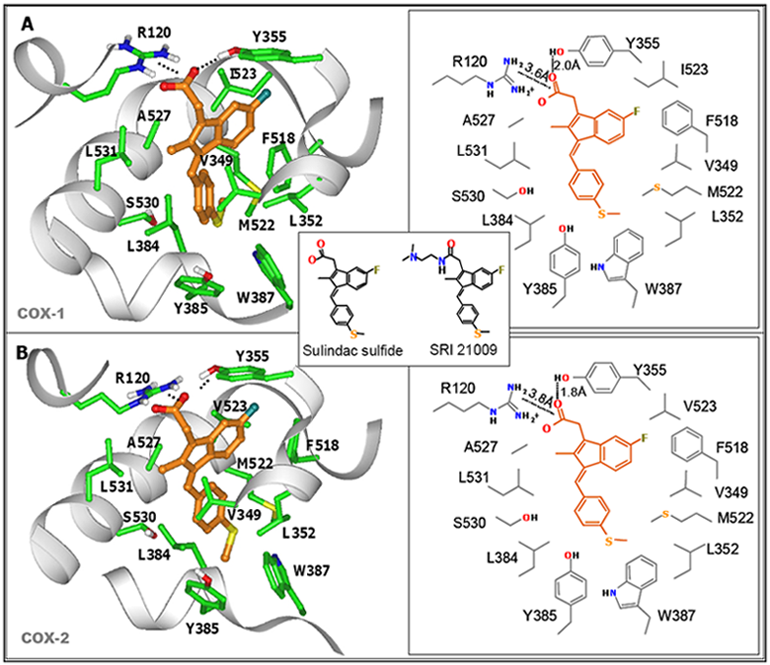 Pharmaceuticals 03 01652 g004 1024