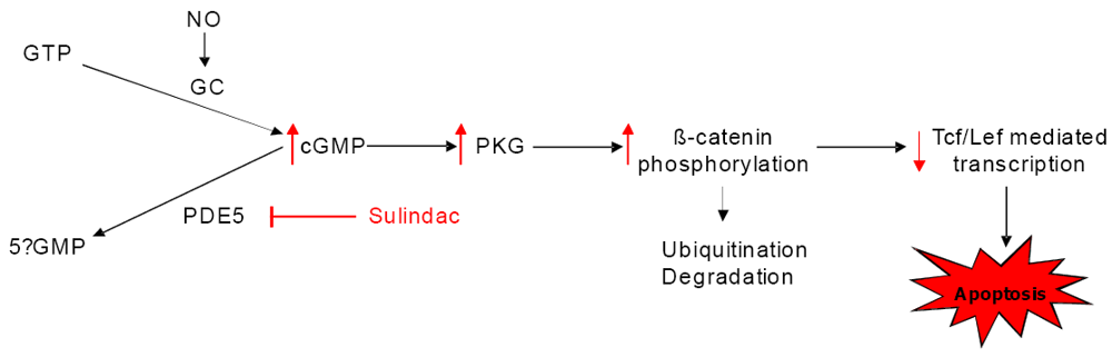 Pharmaceuticals 03 01652 g006 1024