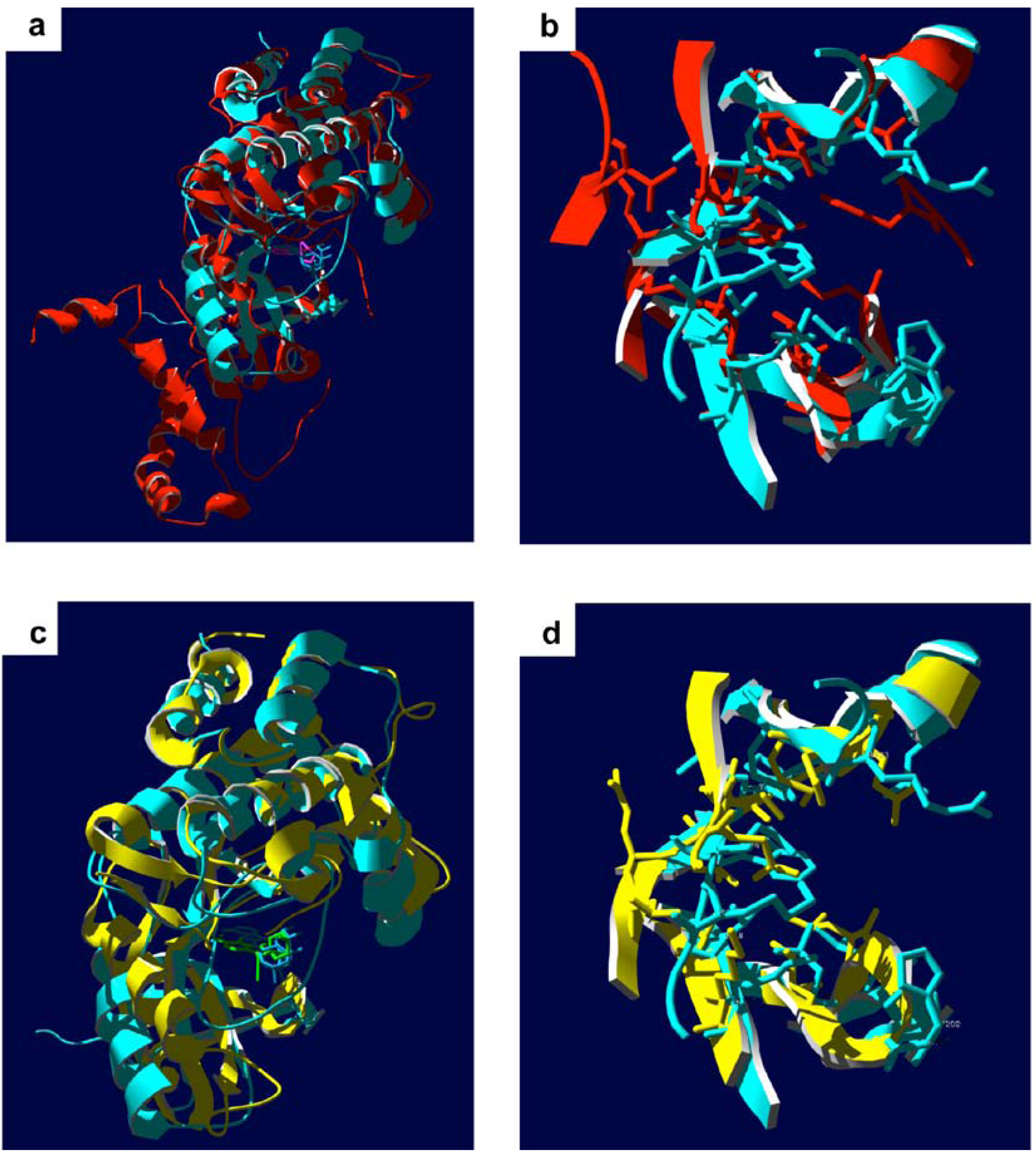 Pharmaceuticals 03 01739 g005