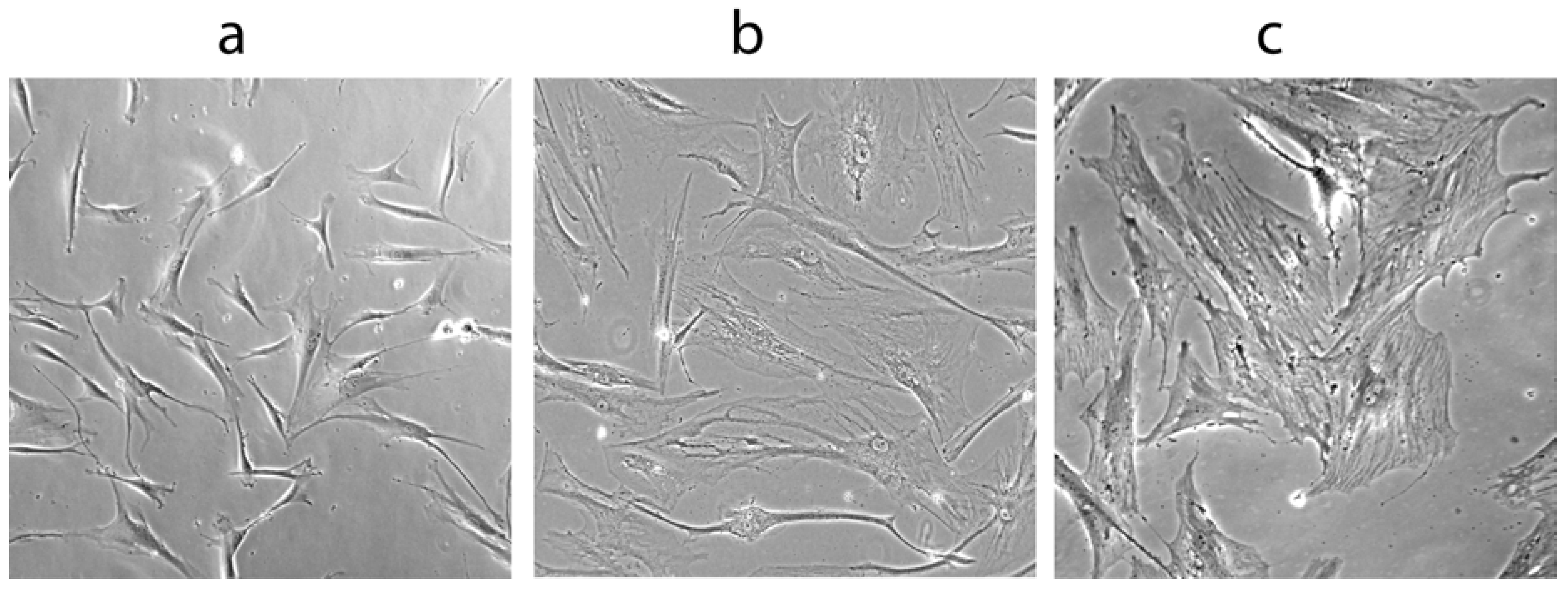 Pharmaceuticals 03 01842 g001