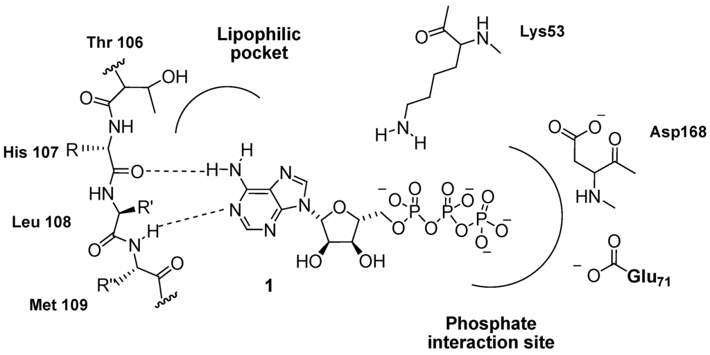 Pharmaceuticals 03 01842 g005 1024