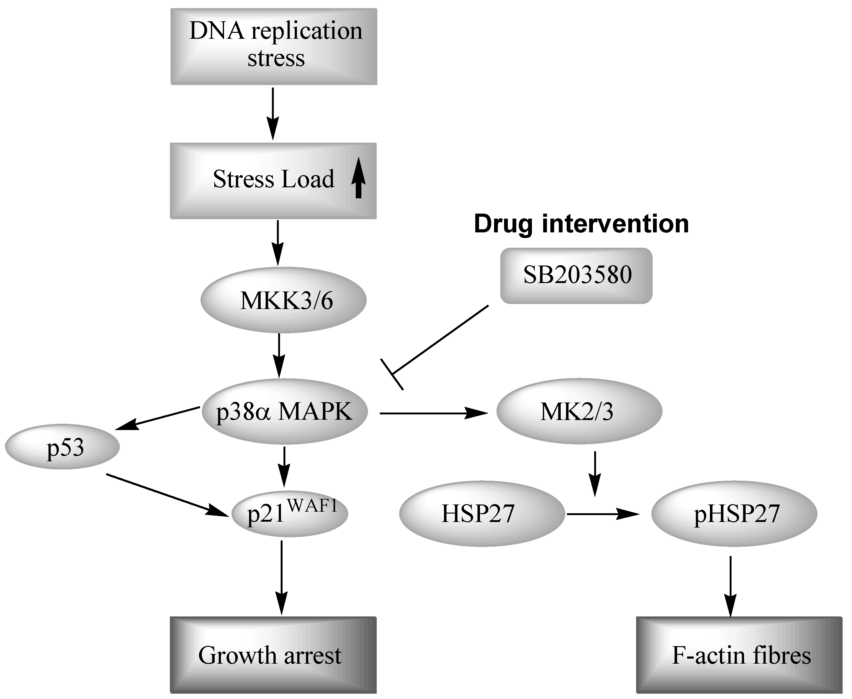 Pharmaceuticals 03 01842 g007