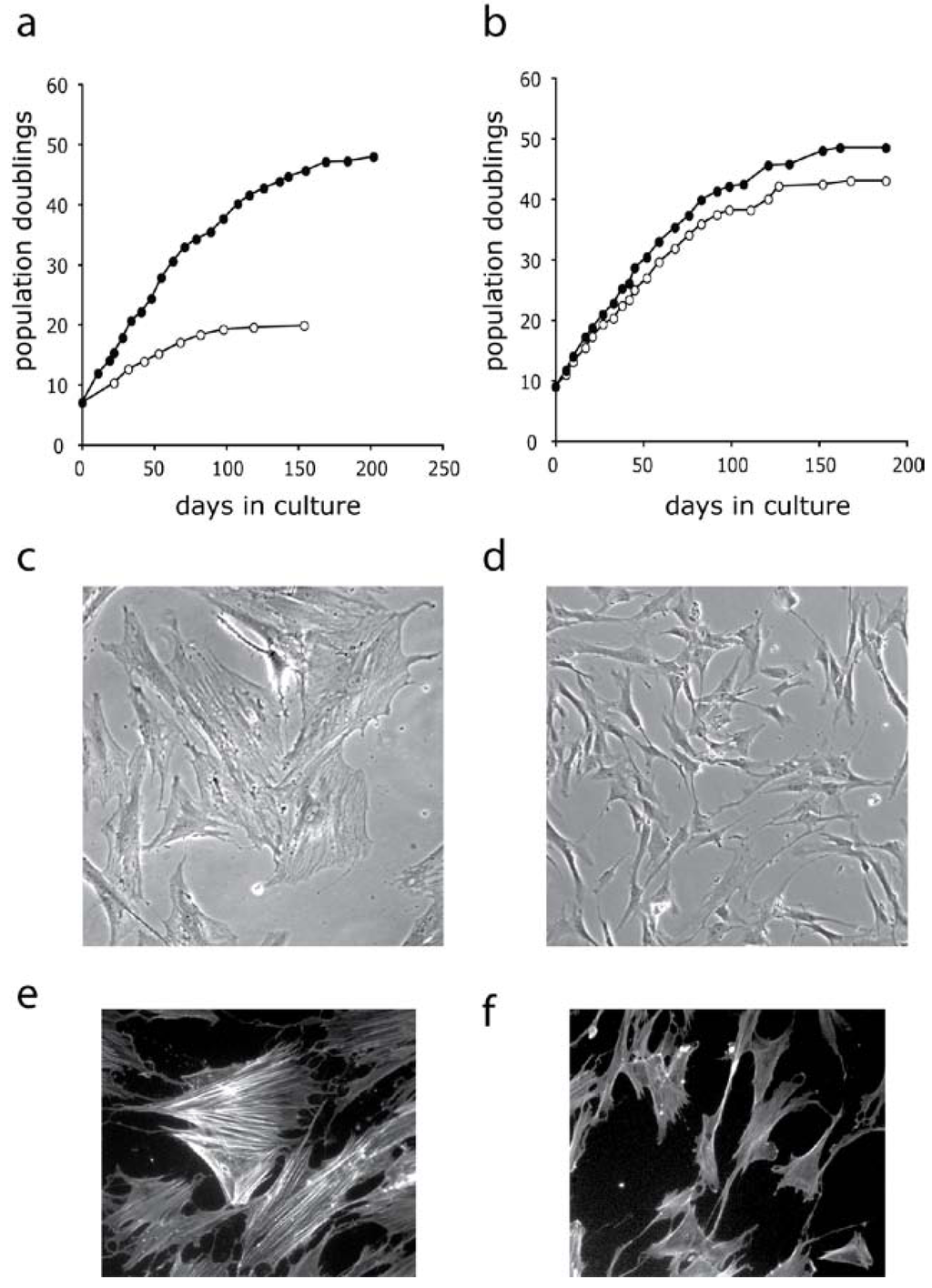Pharmaceuticals 03 01842 g008 1024