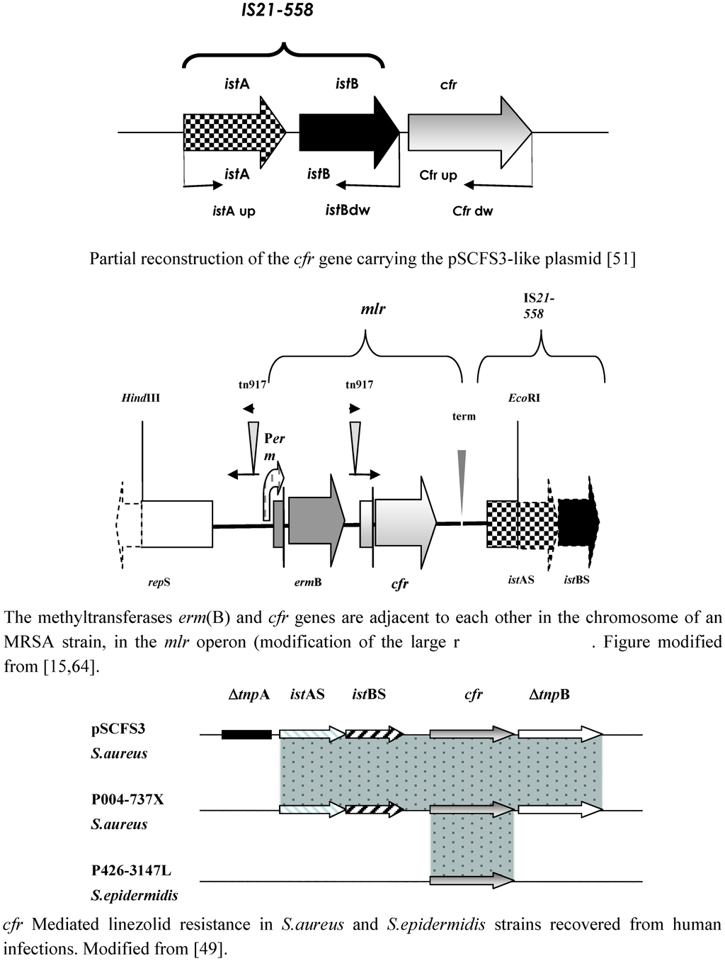 Pharmaceuticals 03 01988 g002 1024