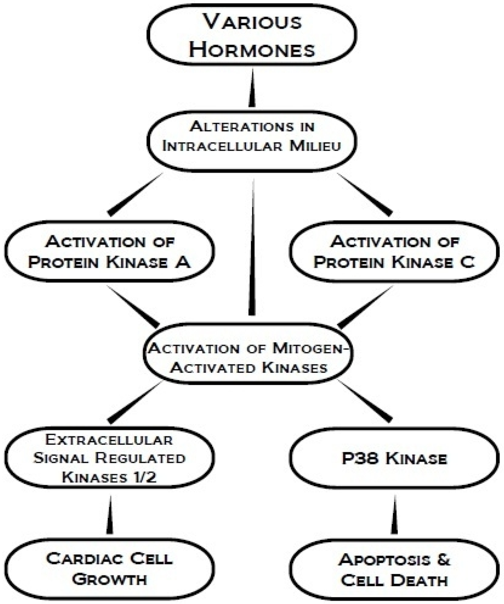 Pharmaceuticals 03 02111 g001 1024