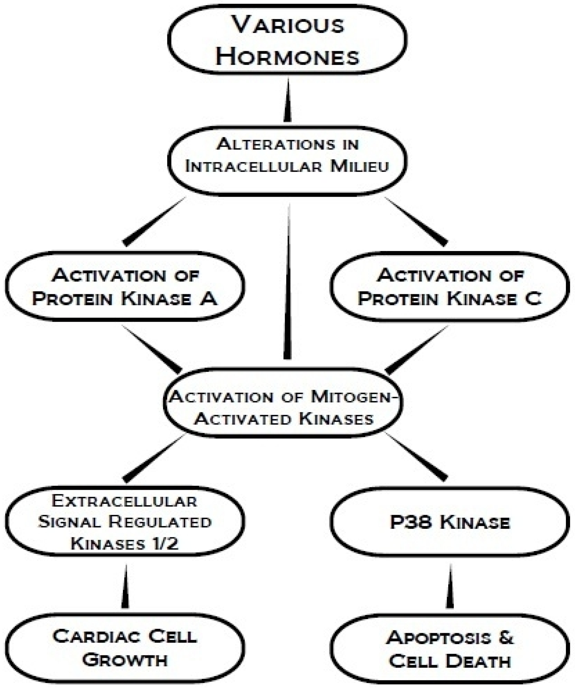 Pharmaceuticals 03 02111 g001