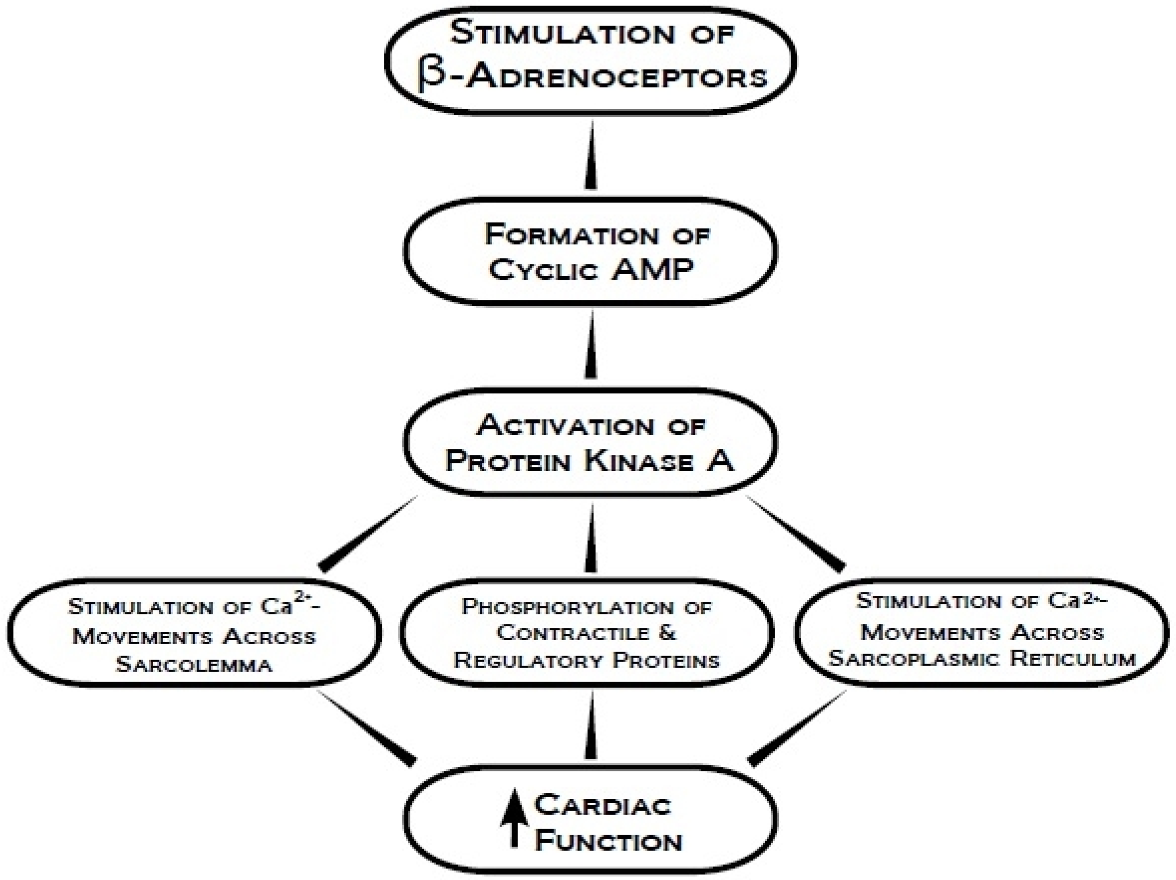 Pharmaceuticals 03 02111 g003