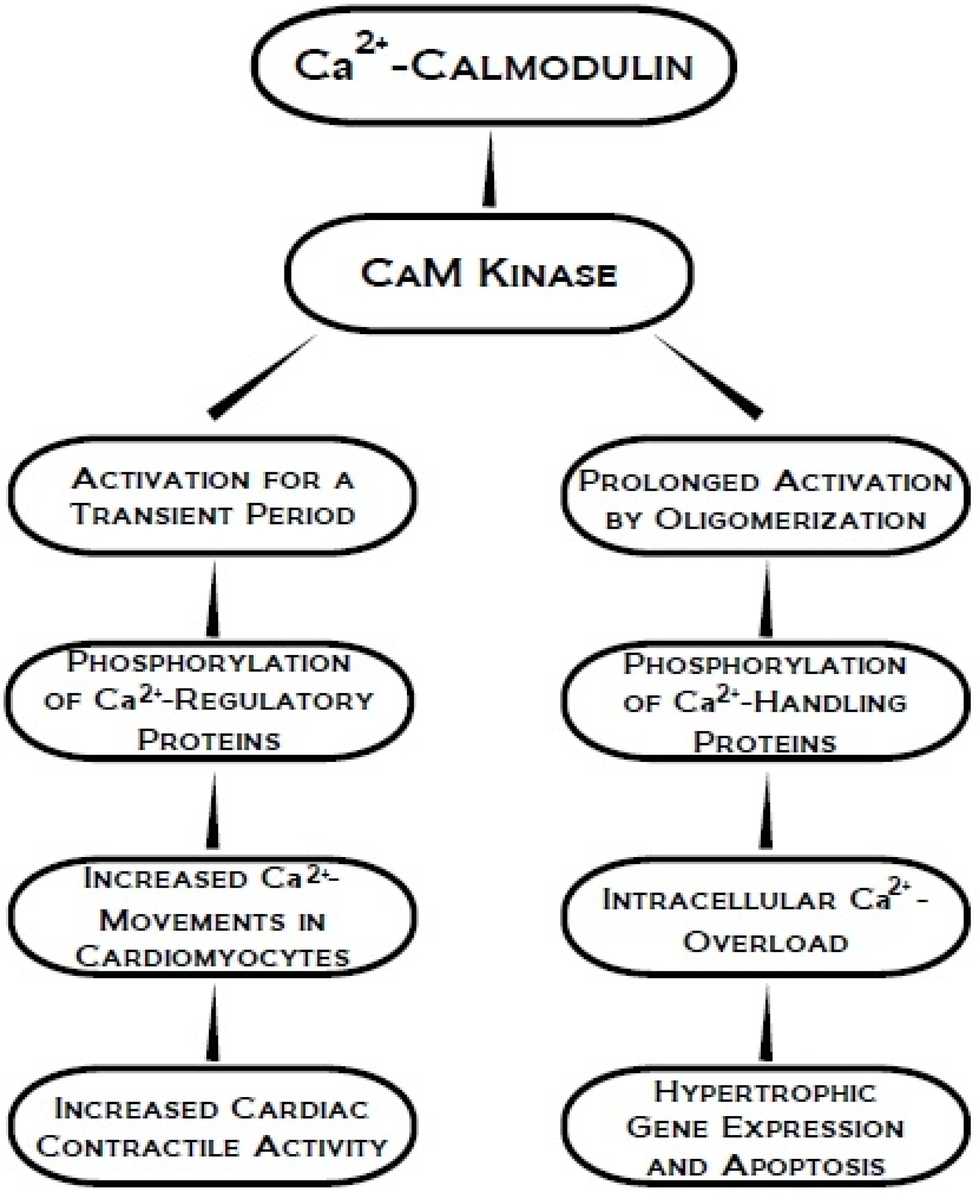 Pharmaceuticals 03 02111 g004