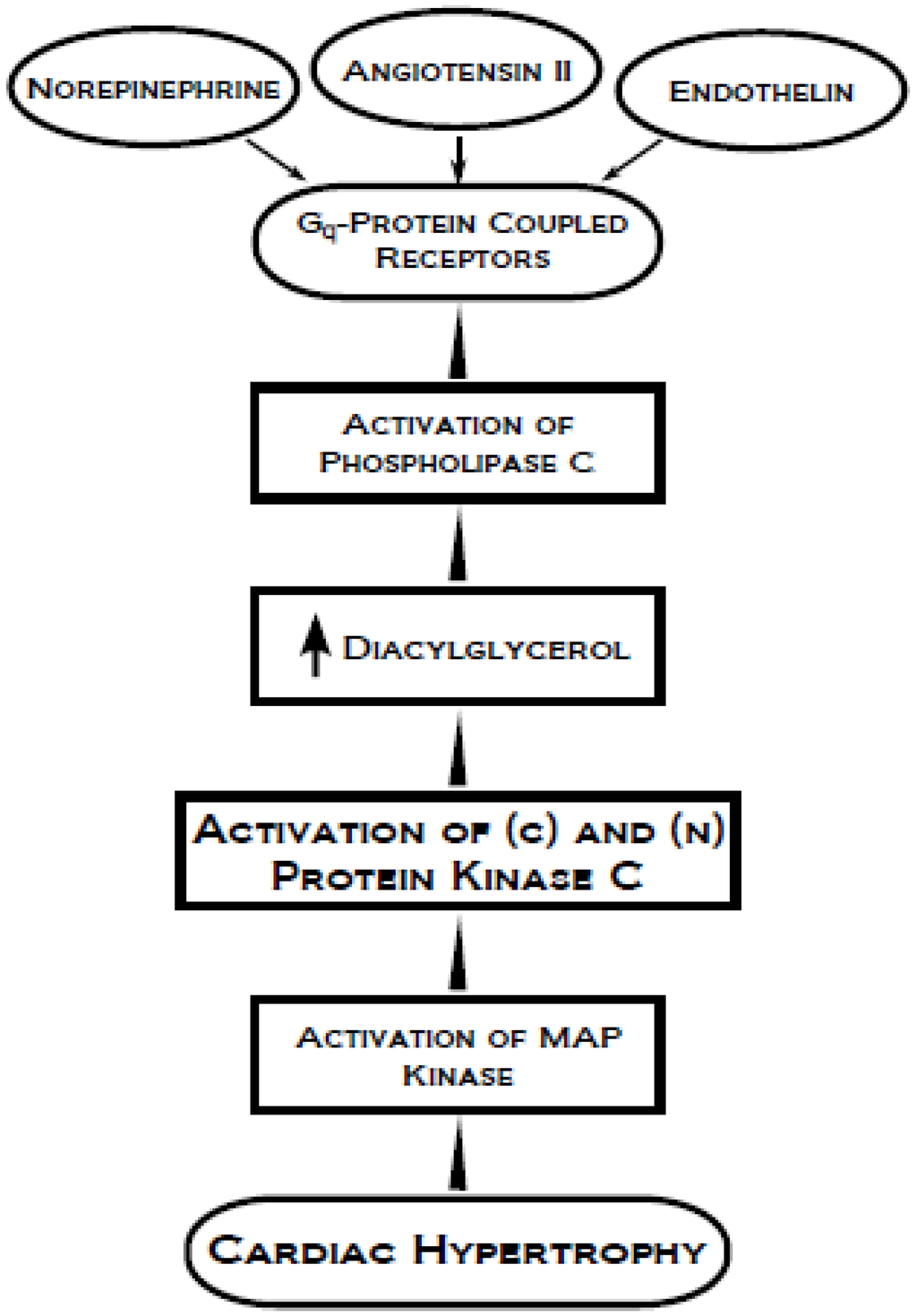 Pharmaceuticals 03 02111 g005 1024