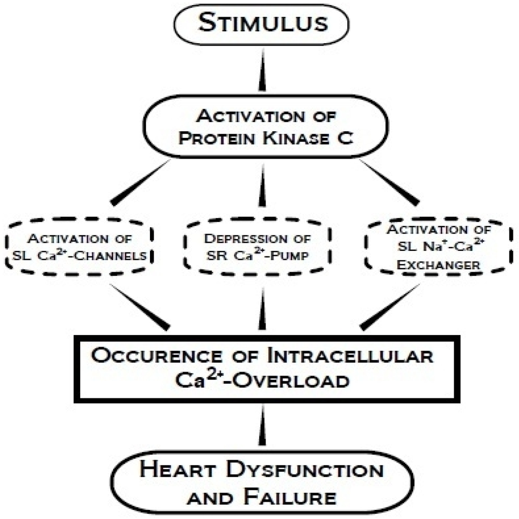 Pharmaceuticals 03 02111 g006 1024
