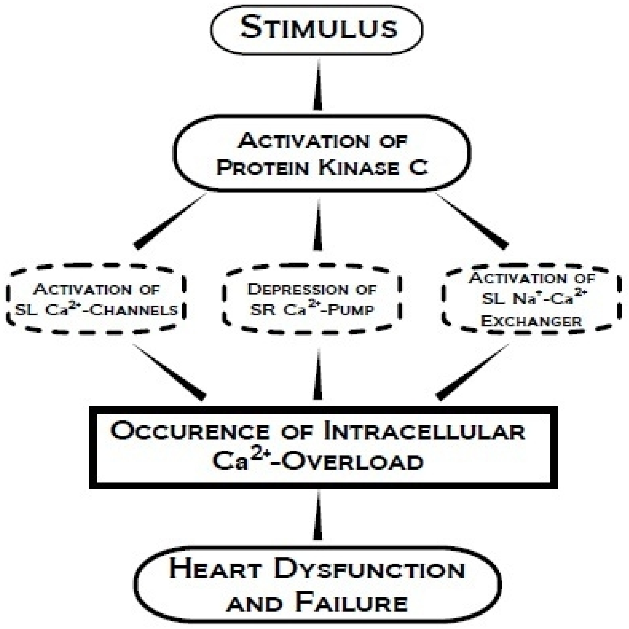 Pharmaceuticals 03 02111 g006
