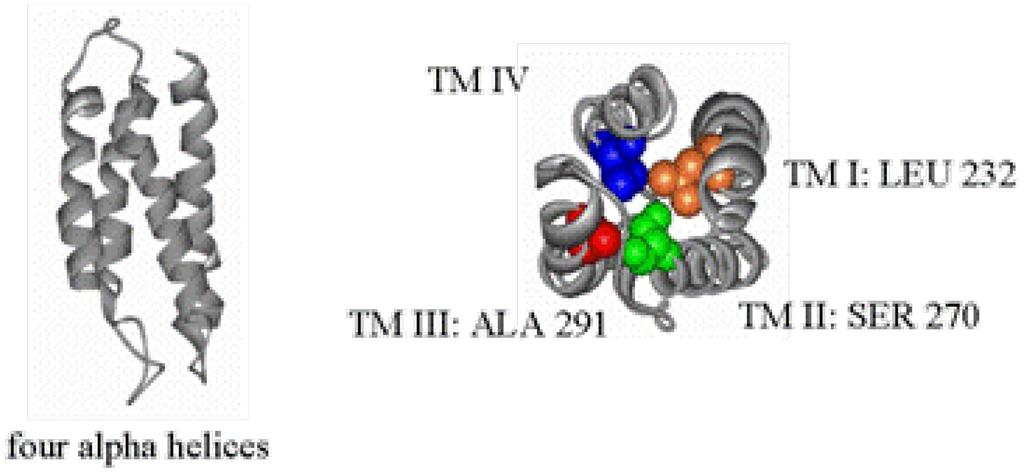 Pharmaceuticals 03 02178 g002 1024