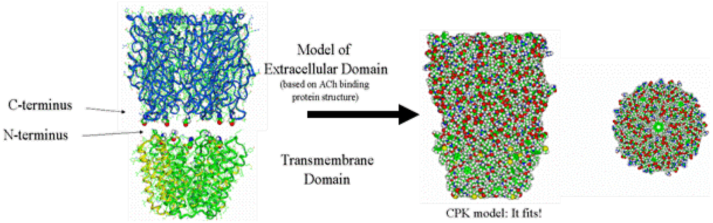 Pharmaceuticals 03 02178 g004 1024