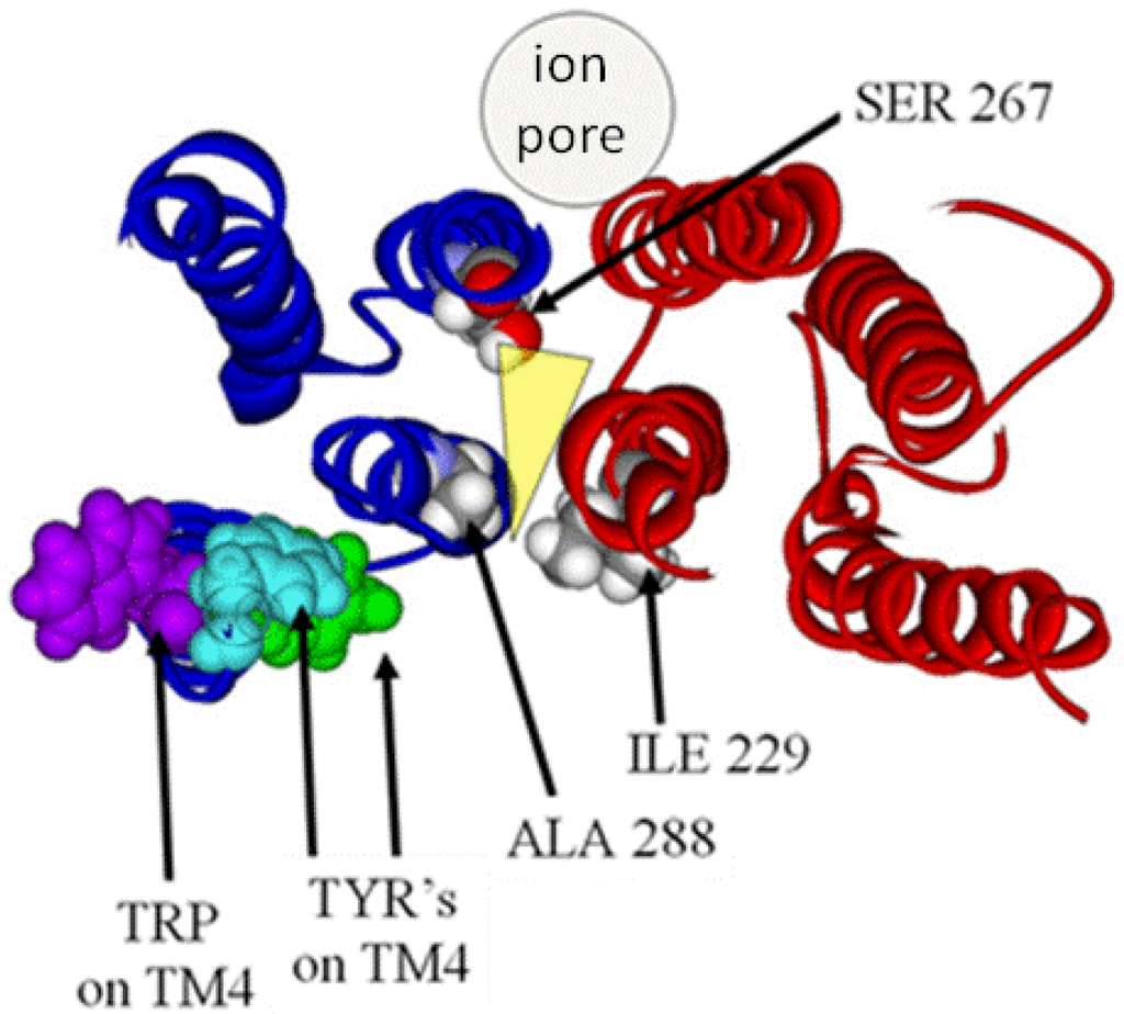 Pharmaceuticals 03 02178 g006 1024