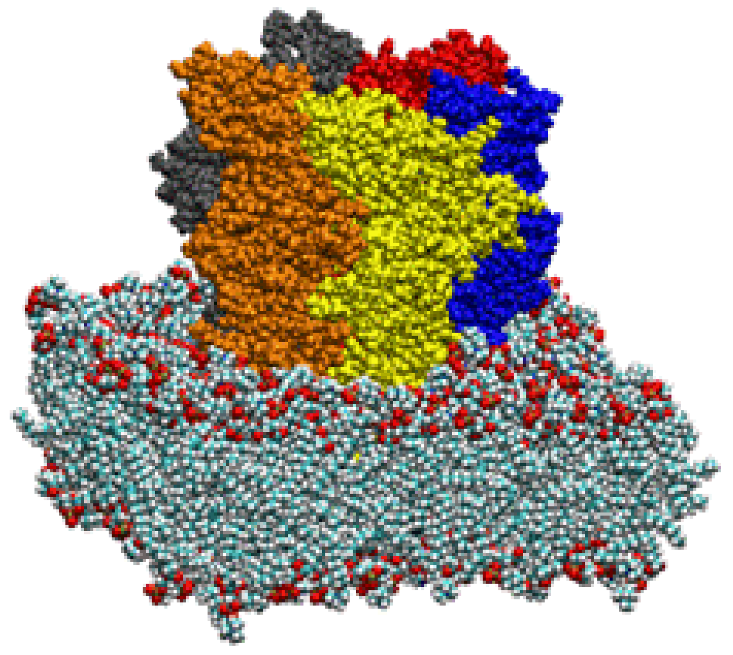 Pharmaceuticals 03 02178 g007