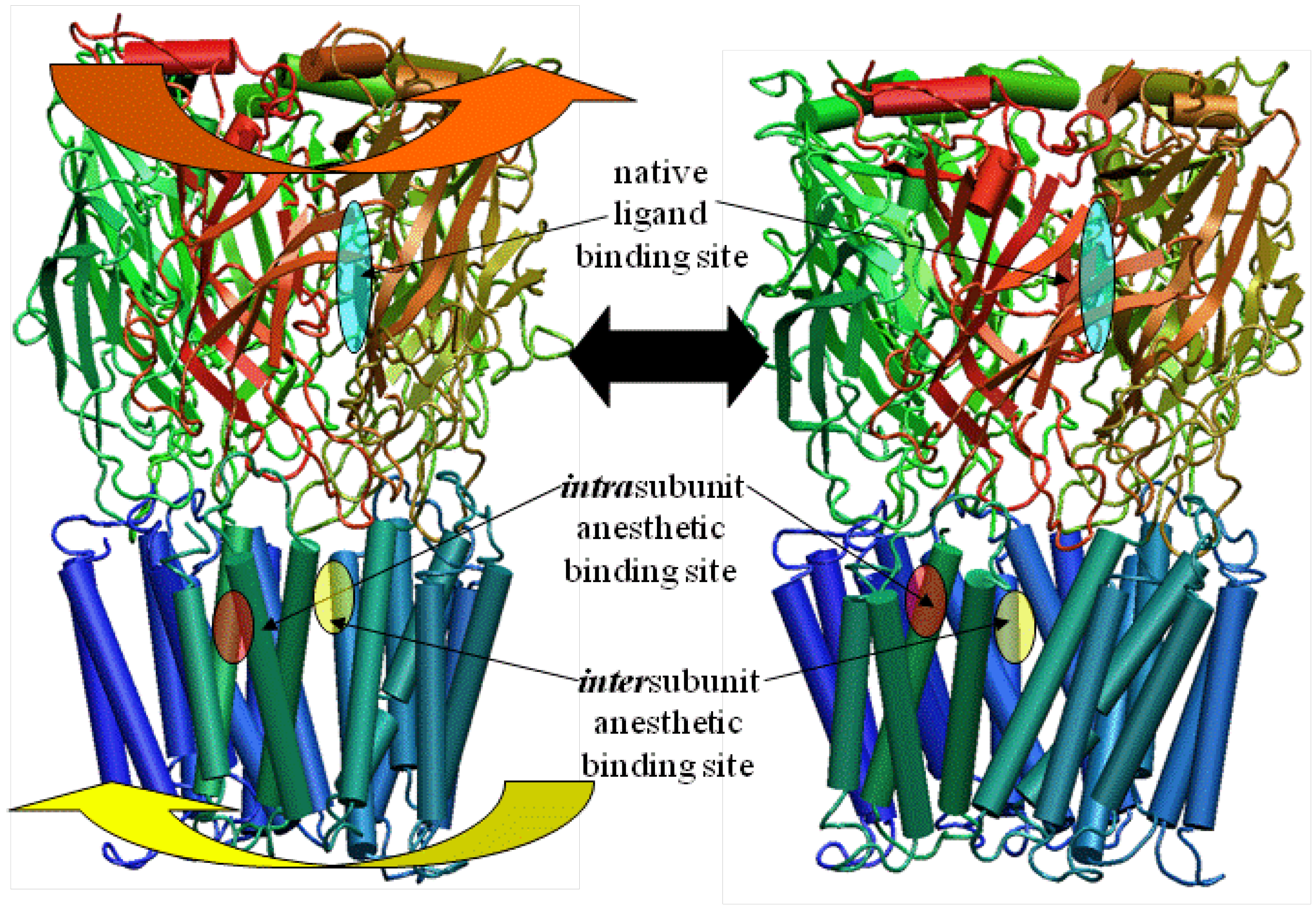Pharmaceuticals 03 02178 g008