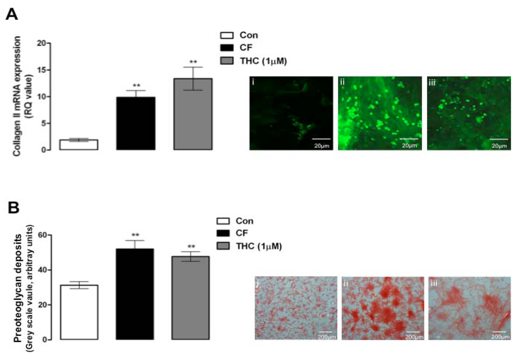 Pharmaceuticals 03 02970 g003 1024