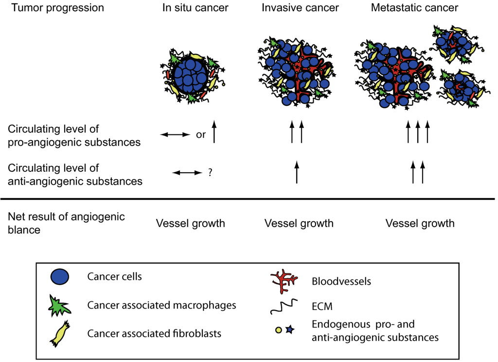 Pharmaceuticals 03 03021 g001 1024