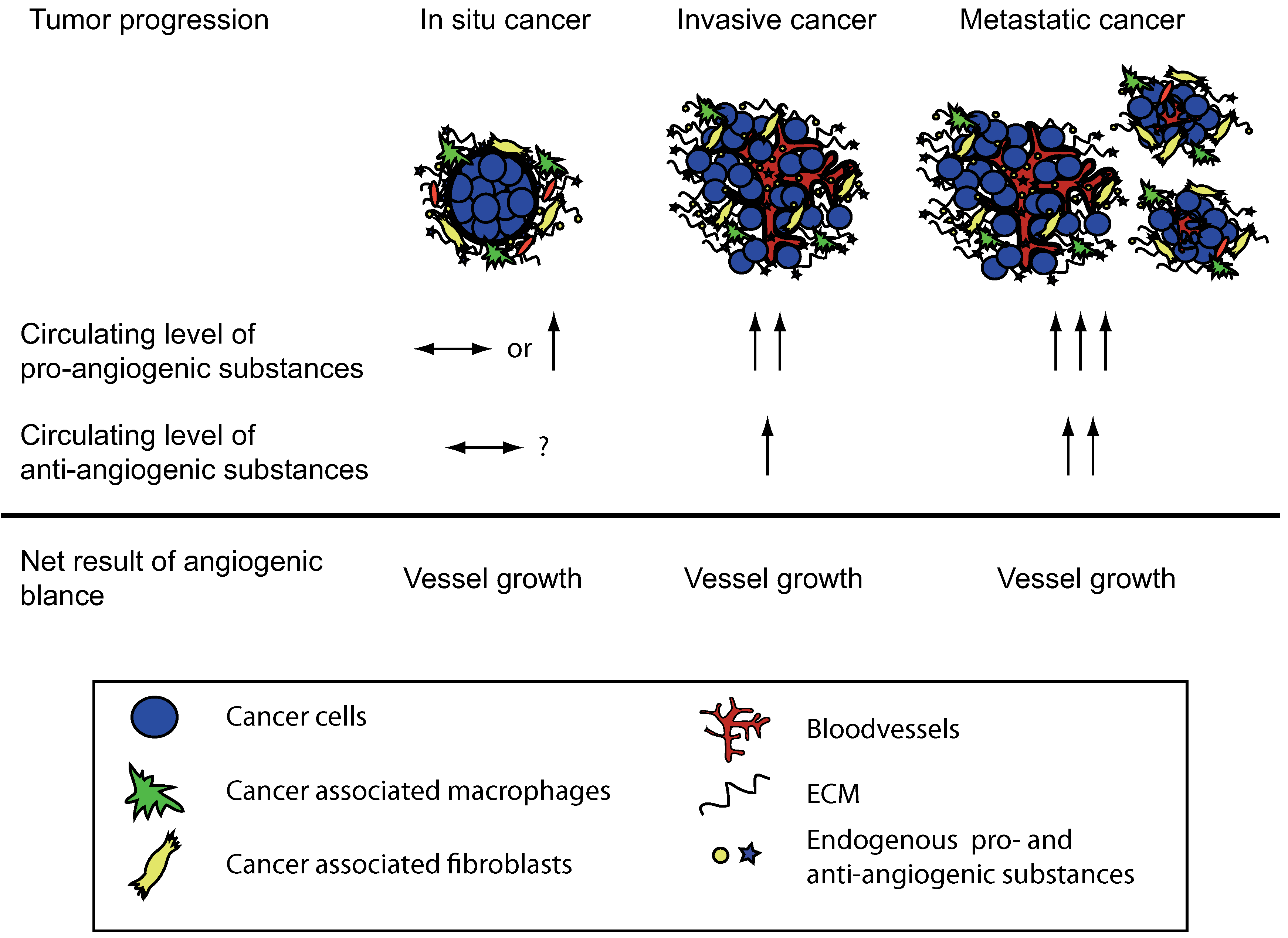 Pharmaceuticals 03 03021 g001