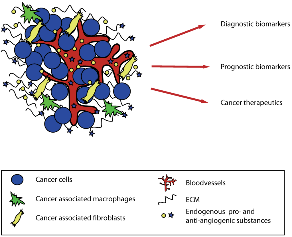 Pharmaceuticals 03 03021 g002 1024