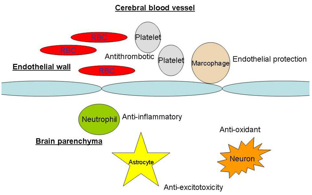 Pharmaceuticals 03 03186 g003 1024