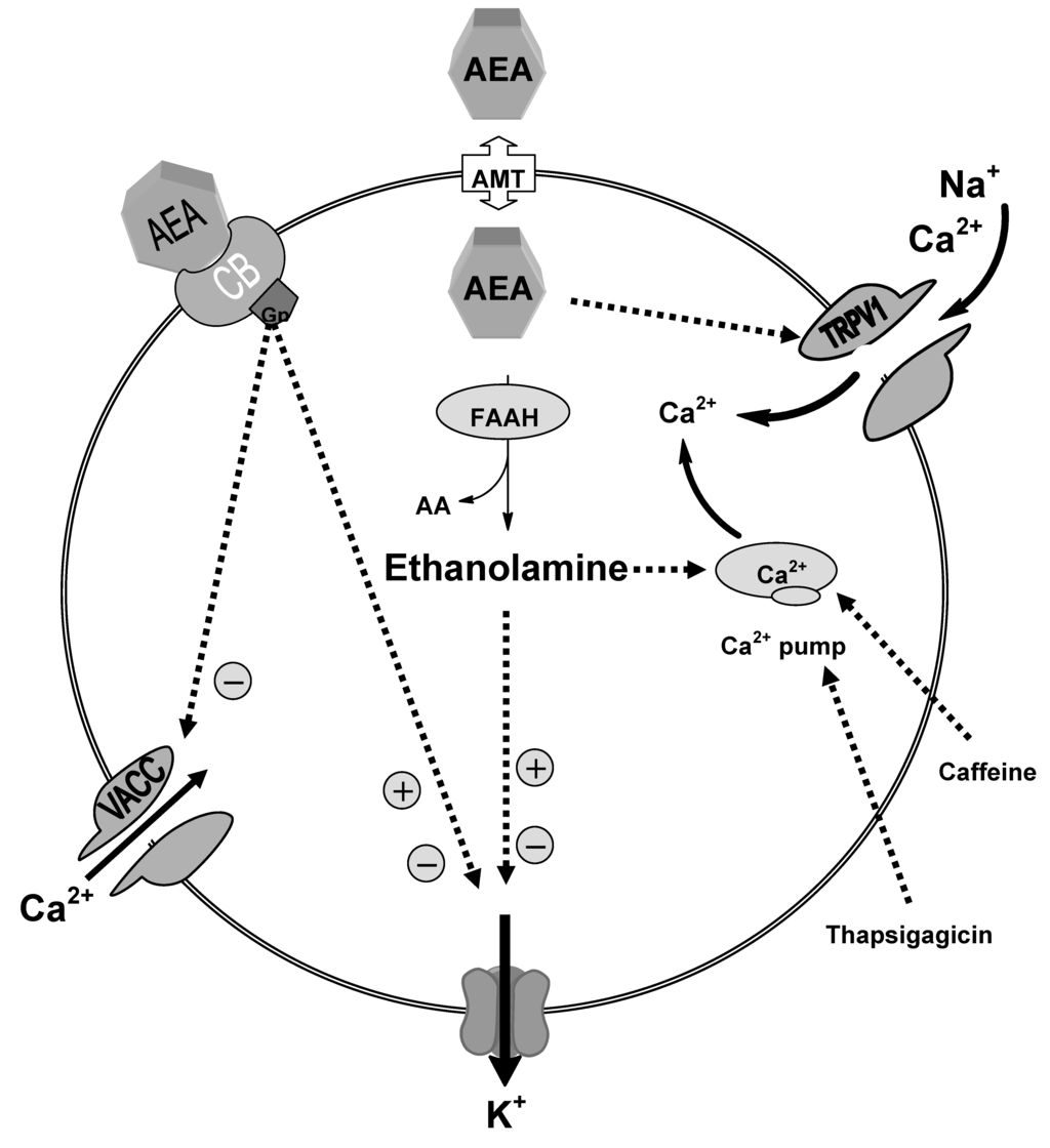 Pharmaceuticals 03 03355 g003 1024