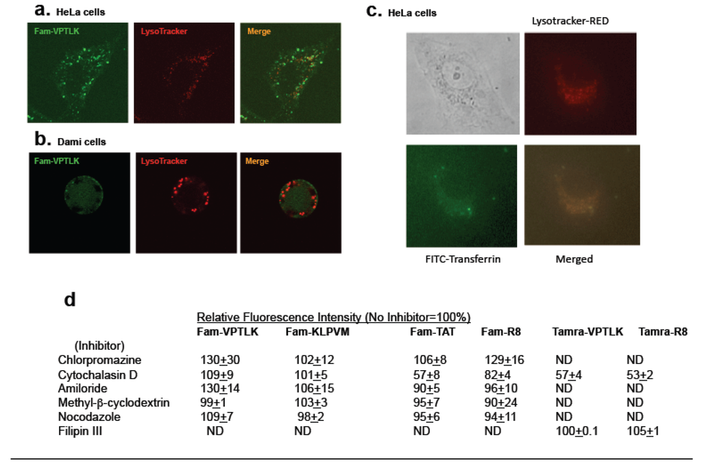 Pharmaceuticals 03 03594 g002 1024