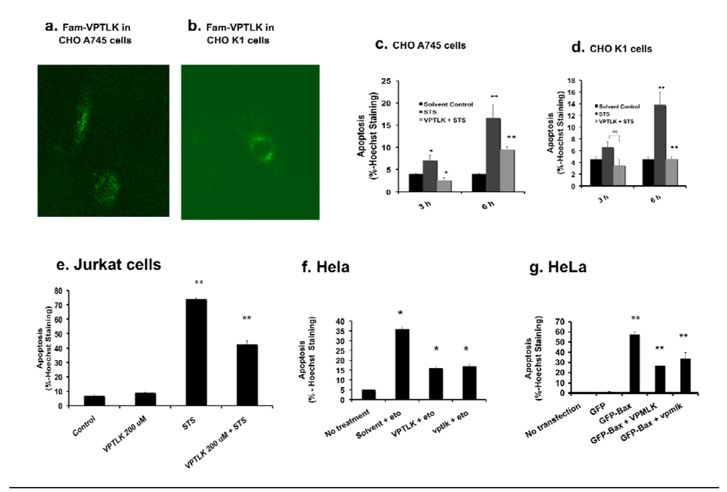 Pharmaceuticals 03 03594 g003 1024