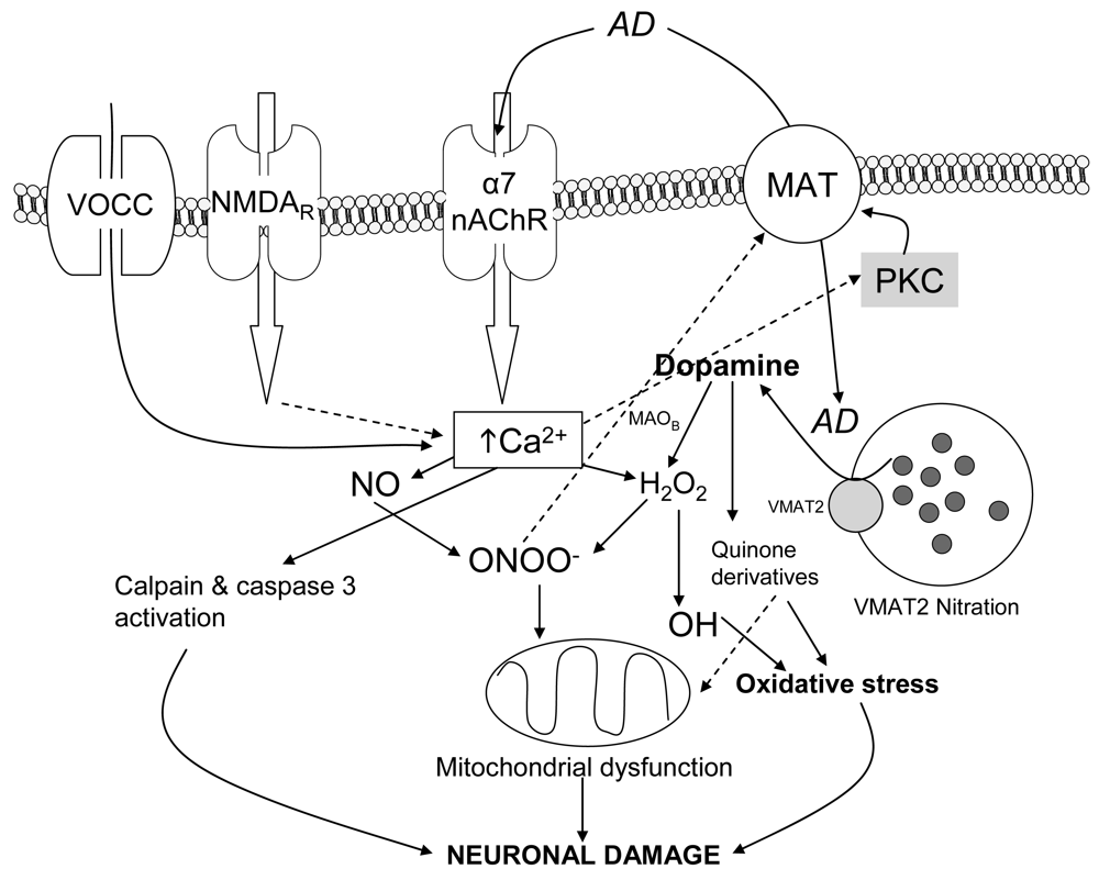Pharmaceuticals 04 00822f3 1024