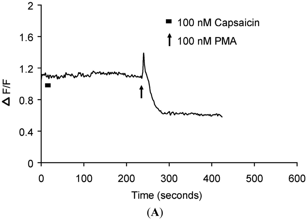 Pharmaceuticals 04 01503f2a 1024