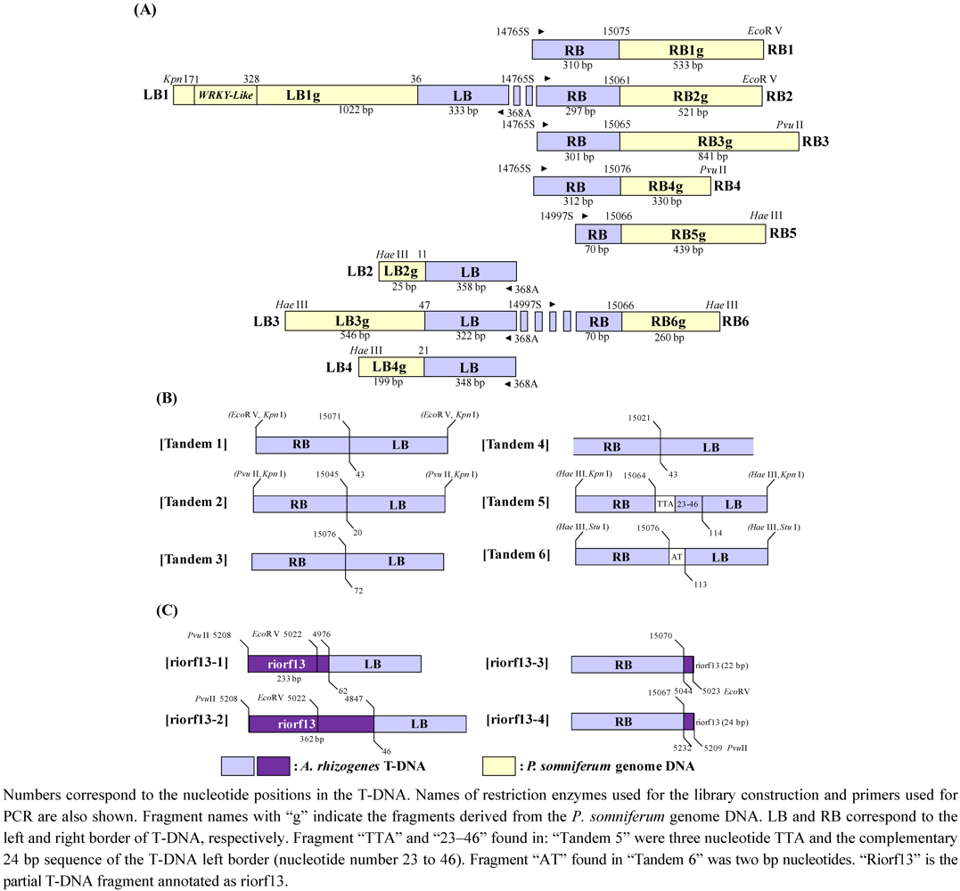 Pharmaceuticals 05 00133 g005