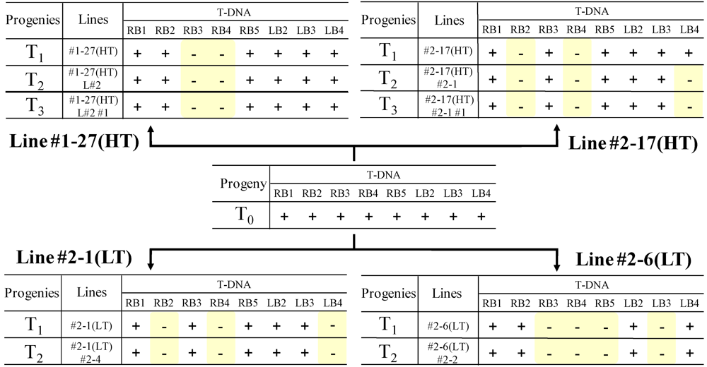 Pharmaceuticals 05 00133 g006