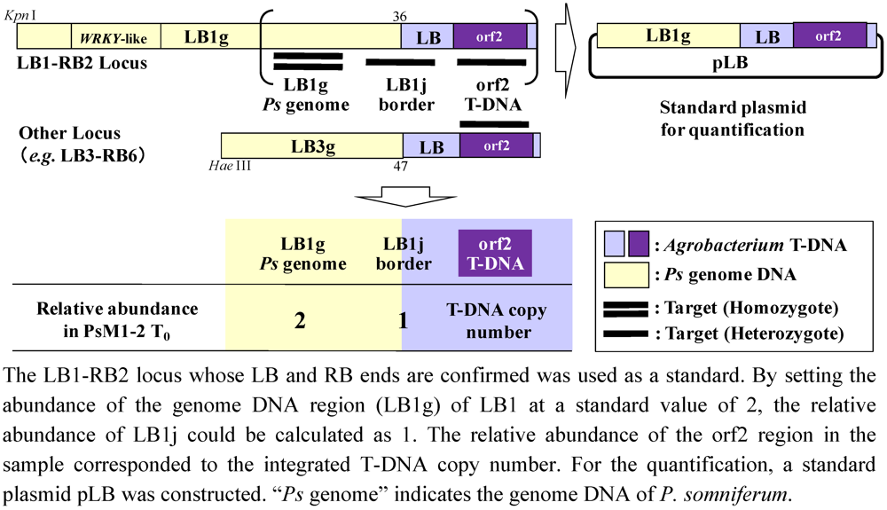 Pharmaceuticals 05 00133 g009