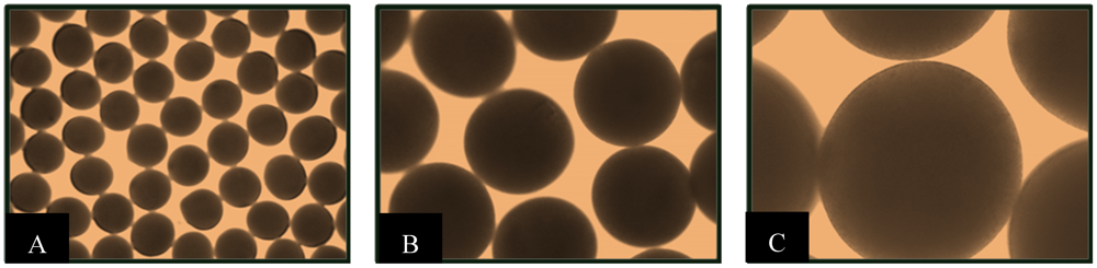 Pharmaceuticals 05 00236 g002 1024