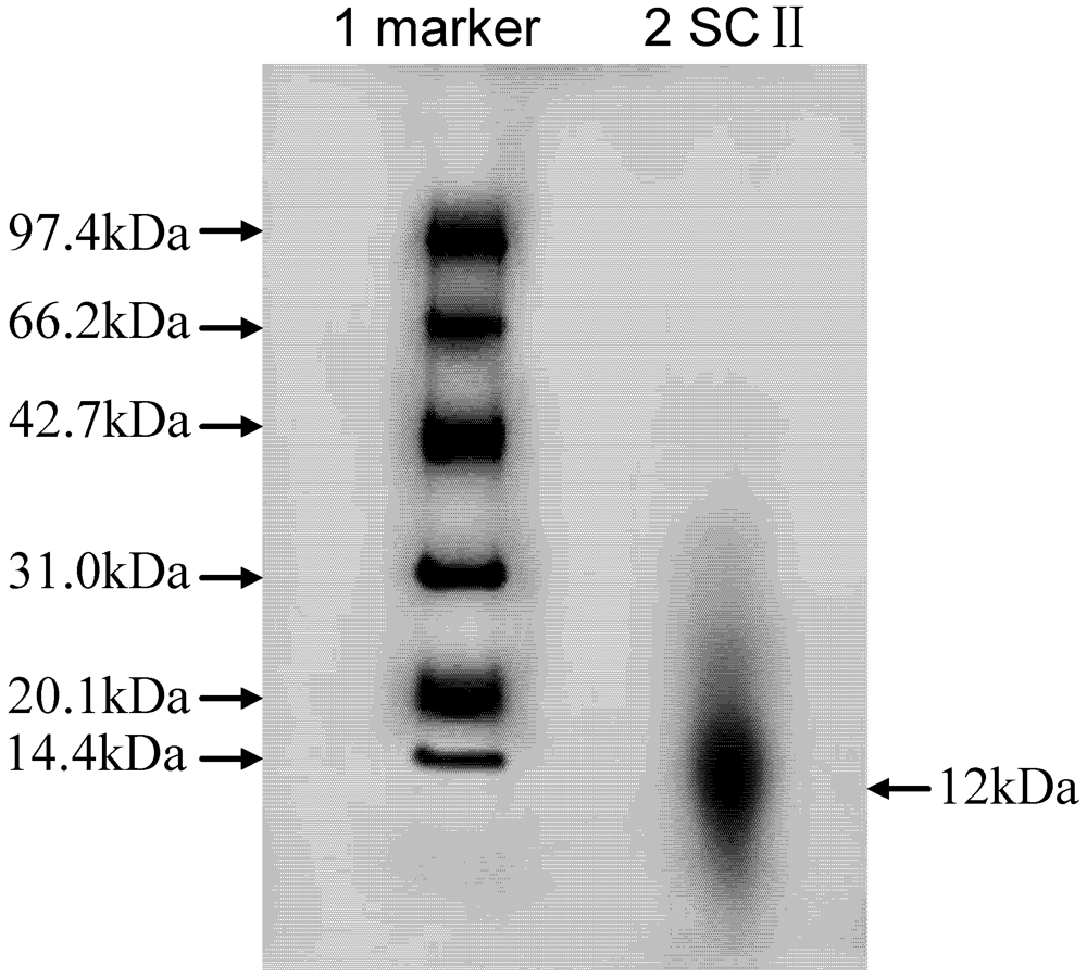 Pharmaceuticals 05 00339 g001 1024