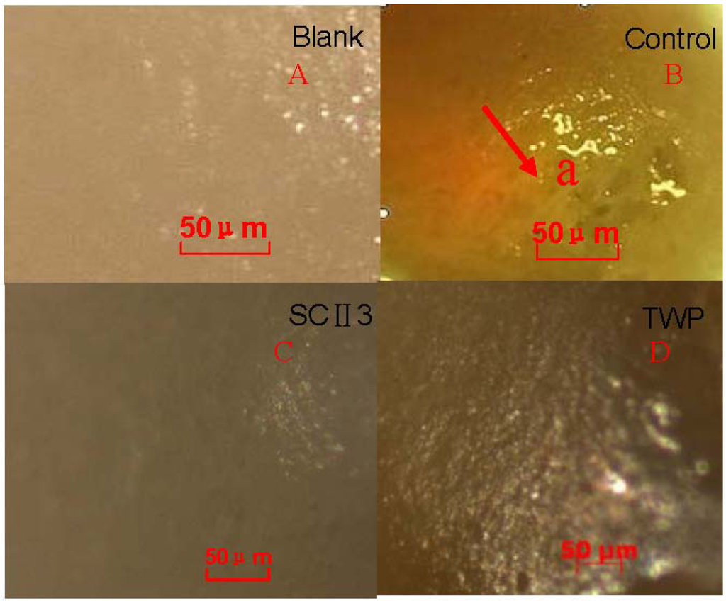 Pharmaceuticals 05 00339 g005 1024